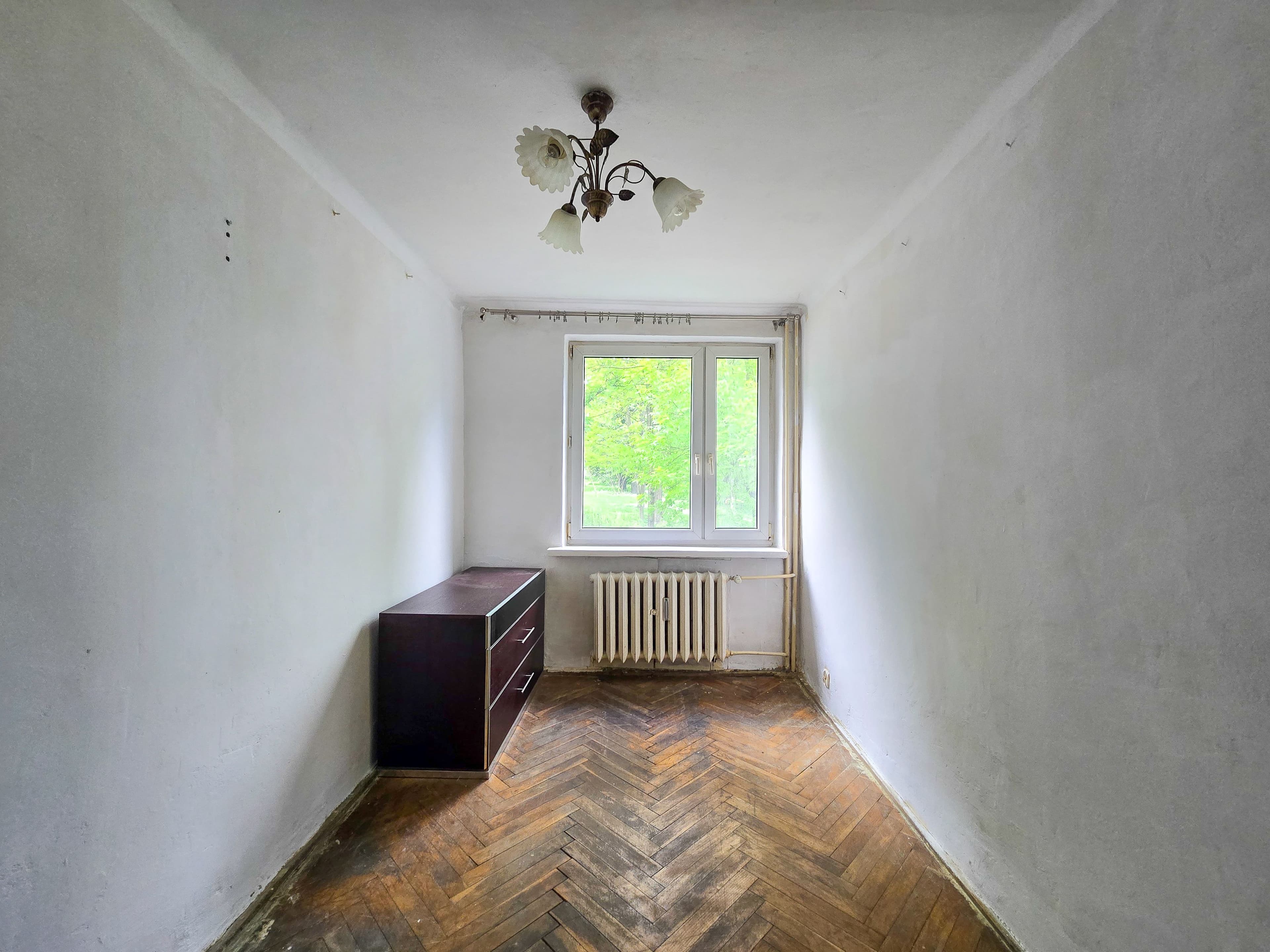 Zdjęcie 6