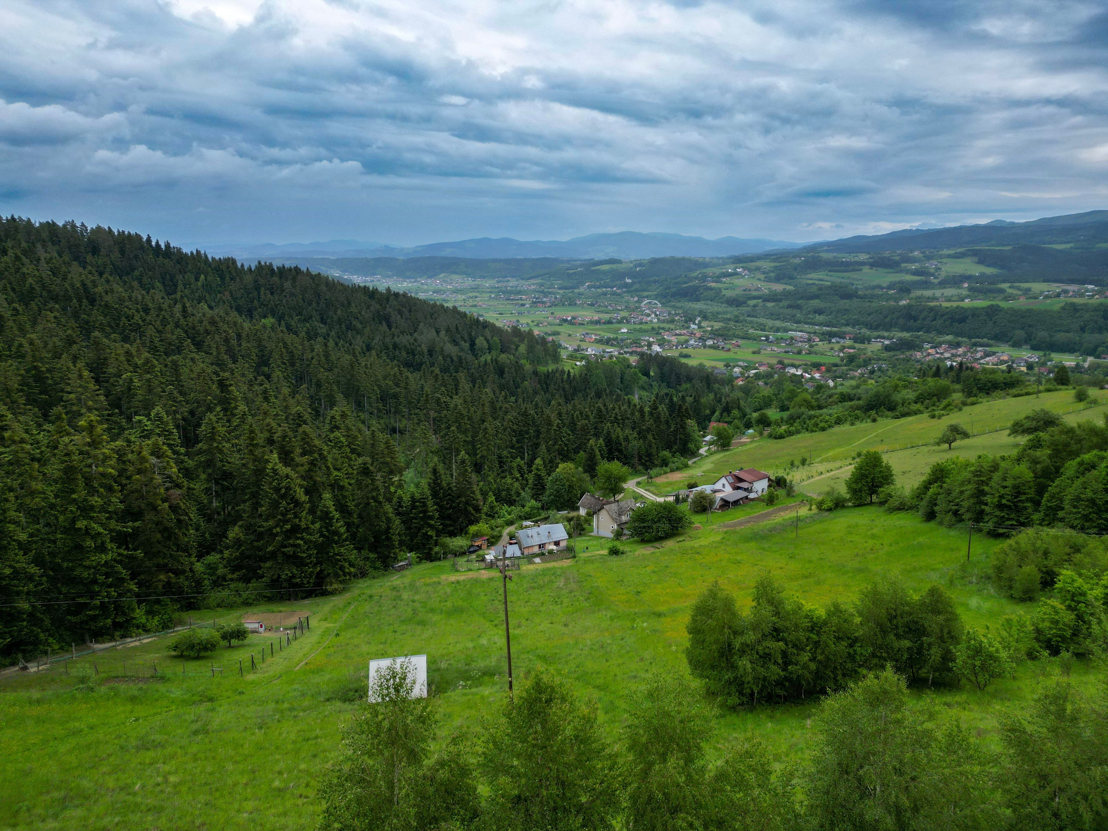 Zdjęcie 10